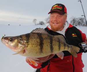 Bro with a yellow perch caught on the Impulse May Fly