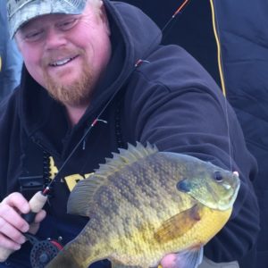 Last-ice panfish