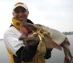 Angler holding up a muskie he caught on a bucktail spinner