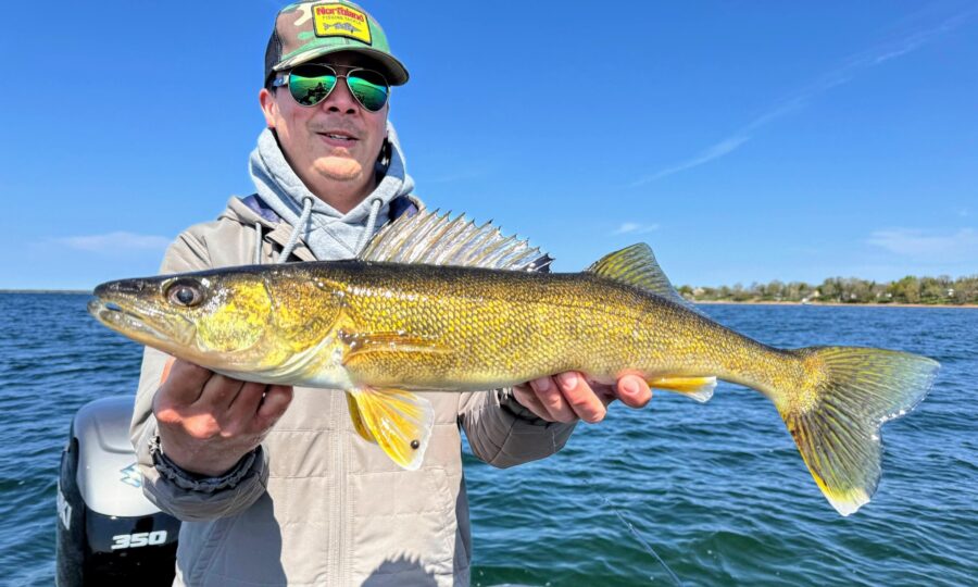 Catching Stand Up Jig Walleyes