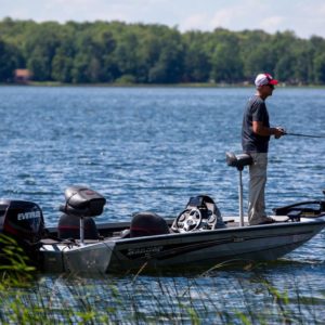 Chip Summer Fishing