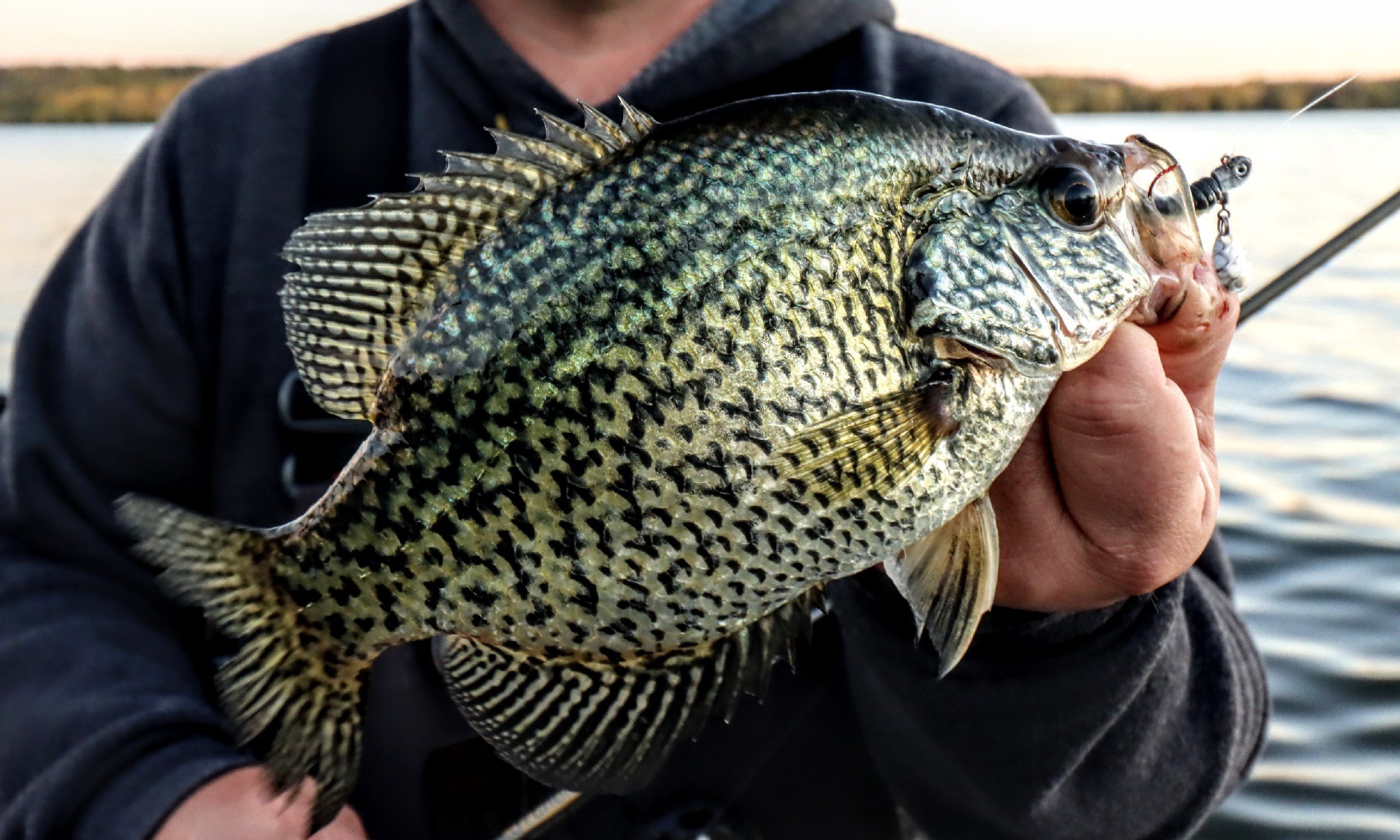 Long Line Trolling Jigs for Crappie #crappie #crappiefishing