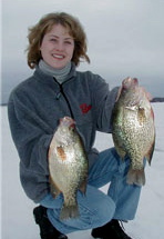 Red Lake crappies