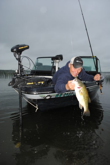 Mike Frisch bringing a largemouth bass out of the water.