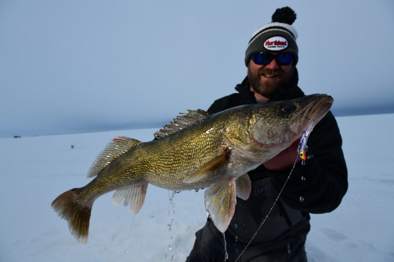 An angler used the Northland Fishing Tackle Rattlin' Puppet Minnow ice fishing to catch a big walleye.