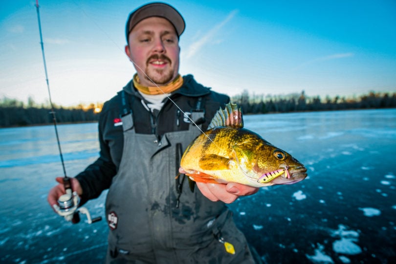 Ice Fisherman with a yellow perch caught on a jigging spoon
