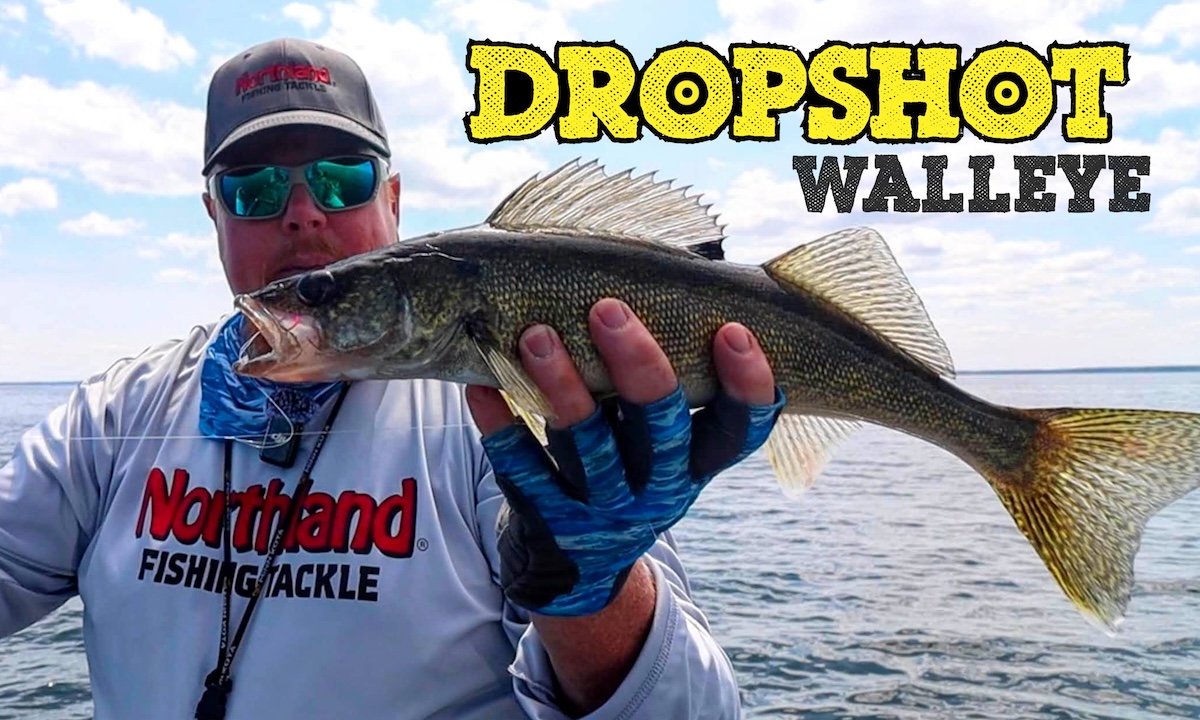 Dropshot Walleye Tactics