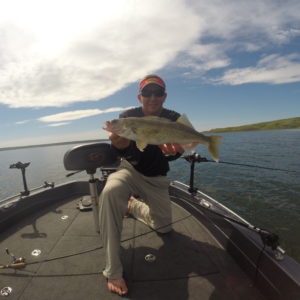 walleye snells