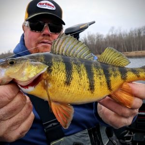 Brian Brosdahl breaks down what you need to know to catch walleyes, perch, crappies and sunfish just in early spring fishing.