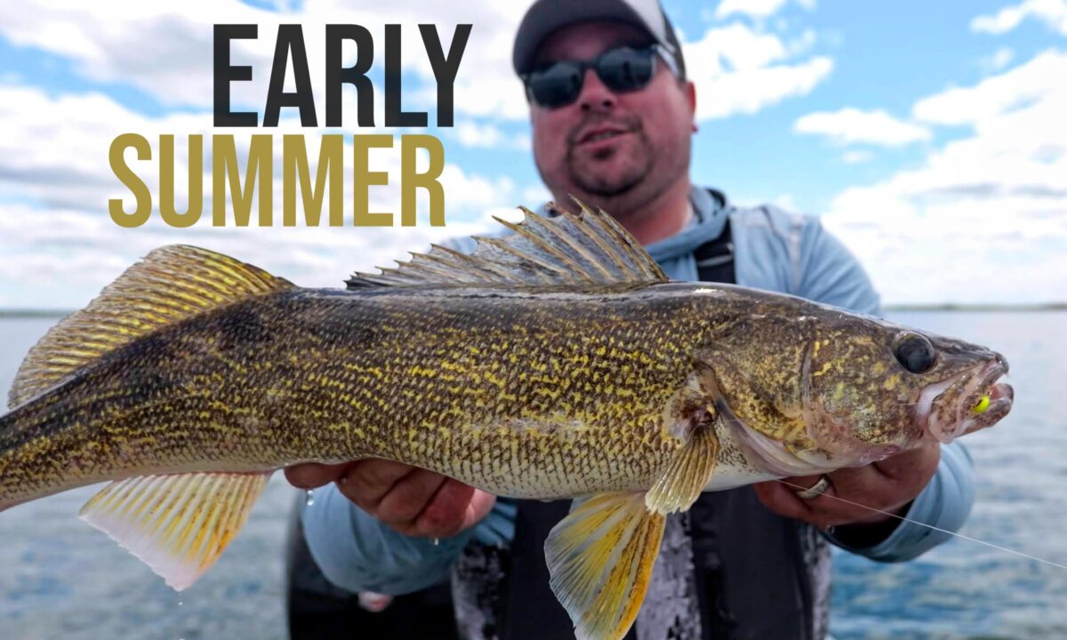 Early Summer Walleye Tips