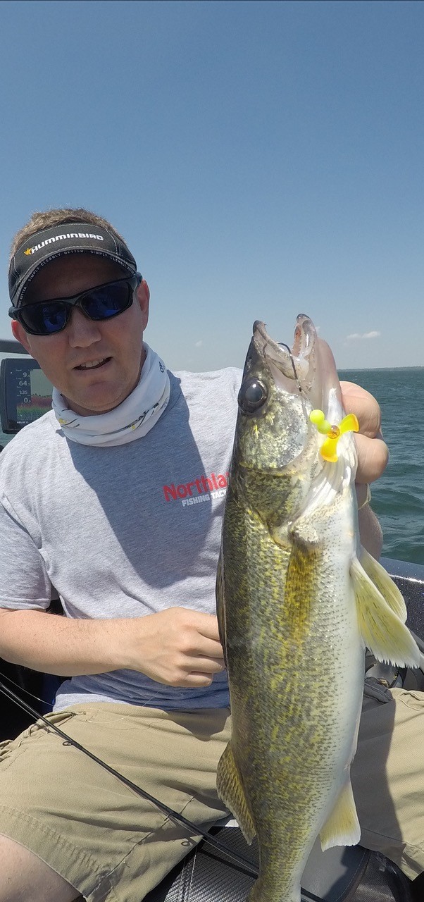 Walleye caught on the Butterfly Blade rig