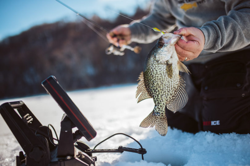 Buck Shot Coffin Spoon catches a early ice crappie