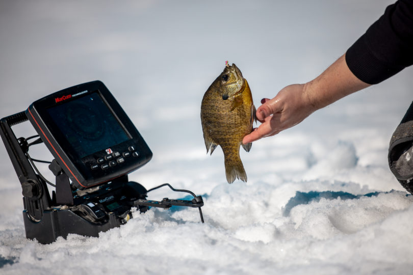 First Ice Bluegill being caught