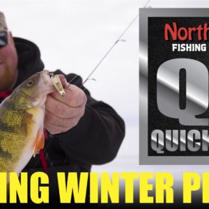 Finding Winter Perch