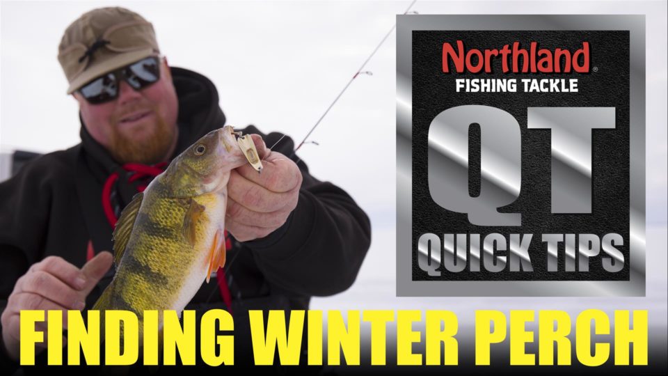 Finding Winter Perch