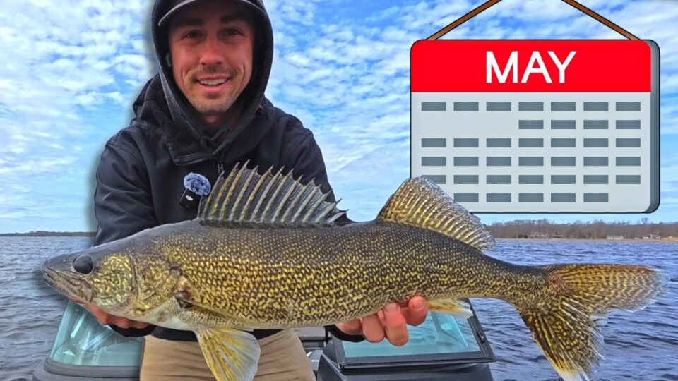 May Walleye Tips