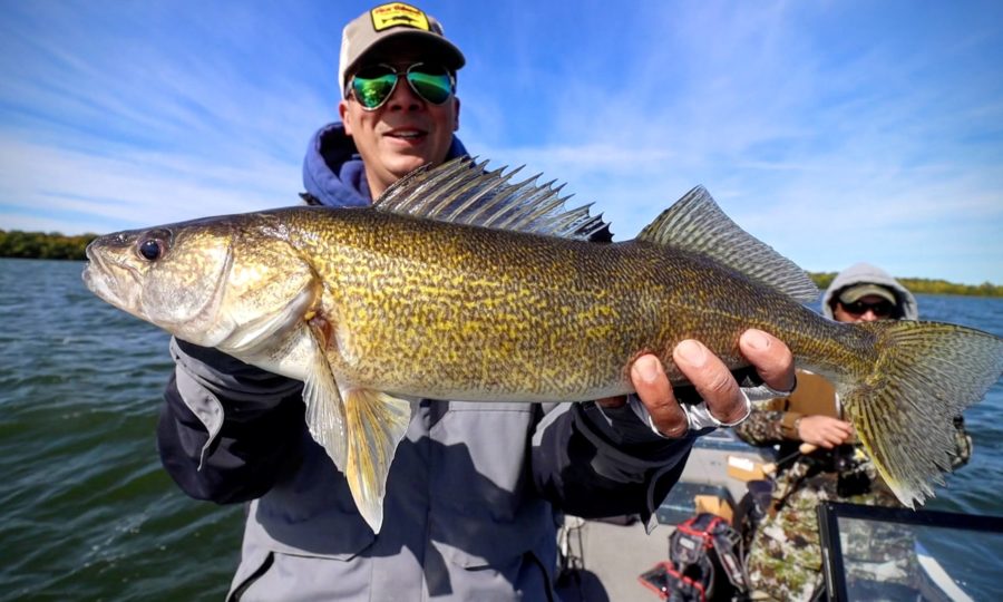 Fall Walleye Fishing Tips