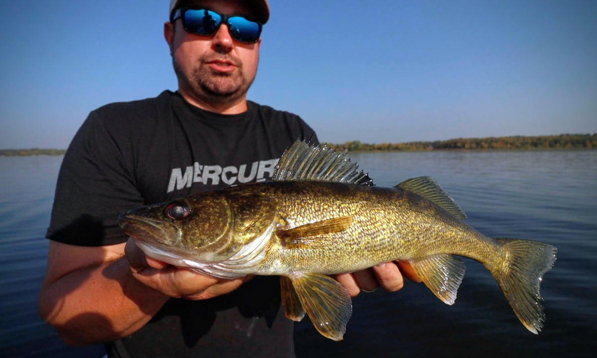 Fall Pitchin' Puppet Walleye Tips | Northland Fishing Tackle