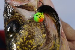 Northland Fishing Tackle Fire-Ball Jig