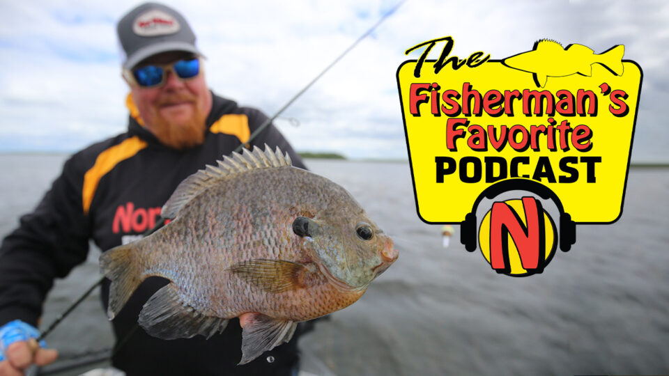 Spring Fishing Tips & Tactics