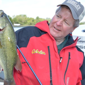 Largemouth bass