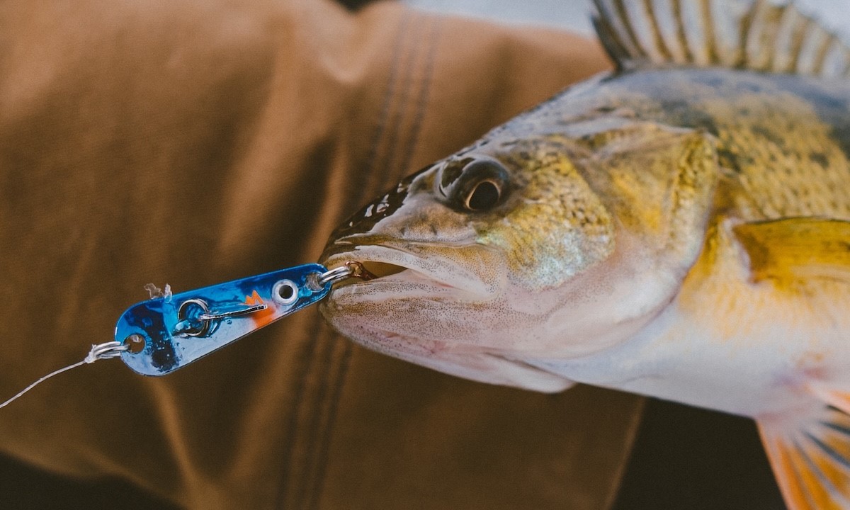 Flutter Ice Spoon Tips | Northland Fishing Tackle
