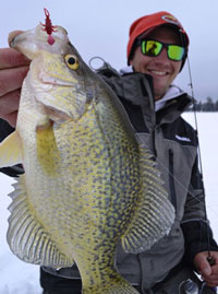 Gussy with crappie caught while ice fishing.