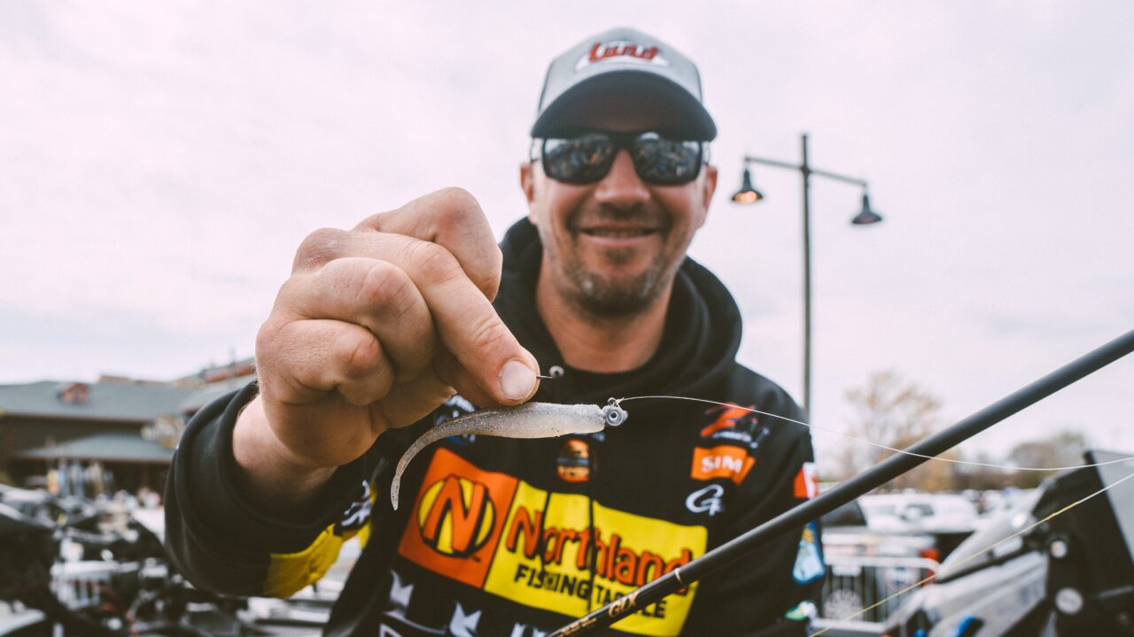Elite Series Bass Jigs