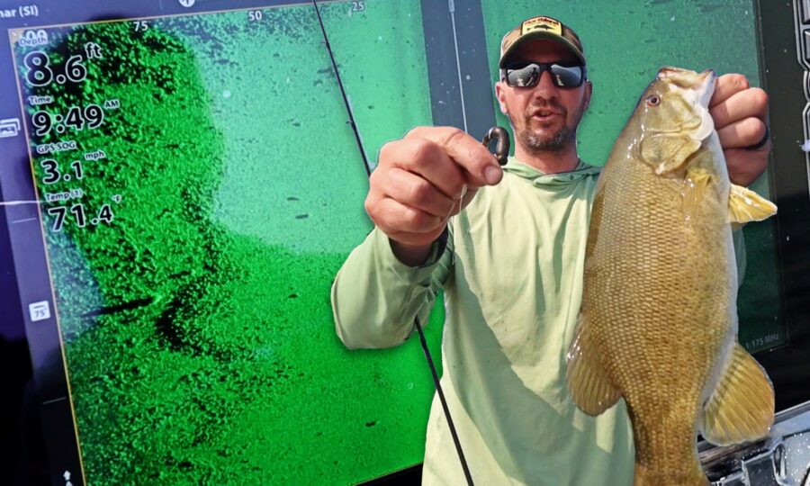 Gussy's Summer Smallmouth Strategy
