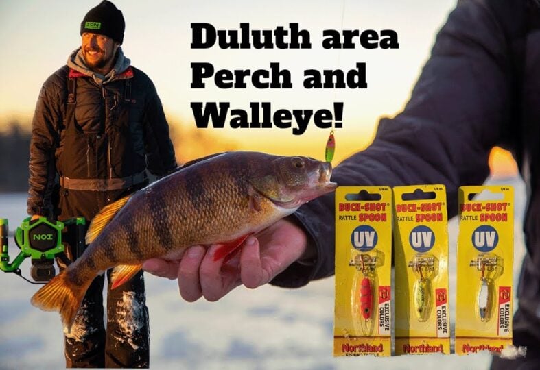 Duluth Area Walleye & Perch