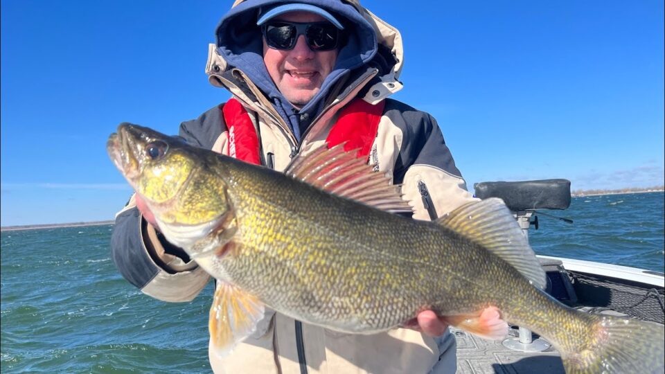 Cold Water Bucktail Walleyes