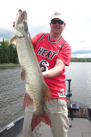 Lake of the Woods Muskie