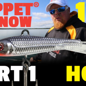 Puppet® Minnow 101 - Technique - Part 1