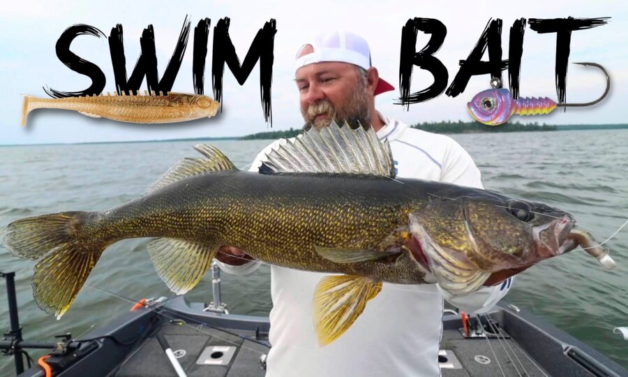 Catching Walleyes On Swimbaits