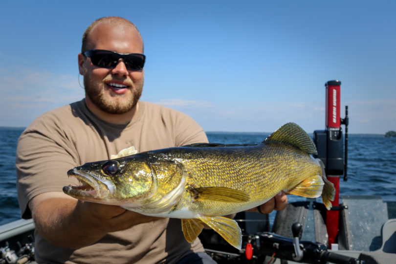 Fisherman with a walleye caught out of the cabbage.