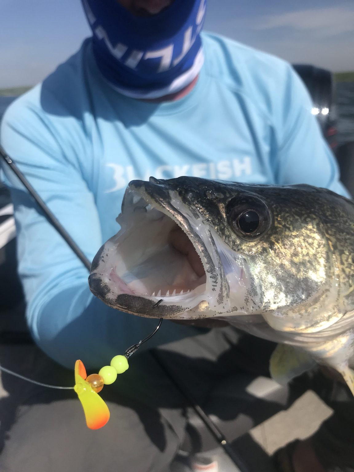 Bottom Bouncer Basics for Walleye Northland Fishing Tackle