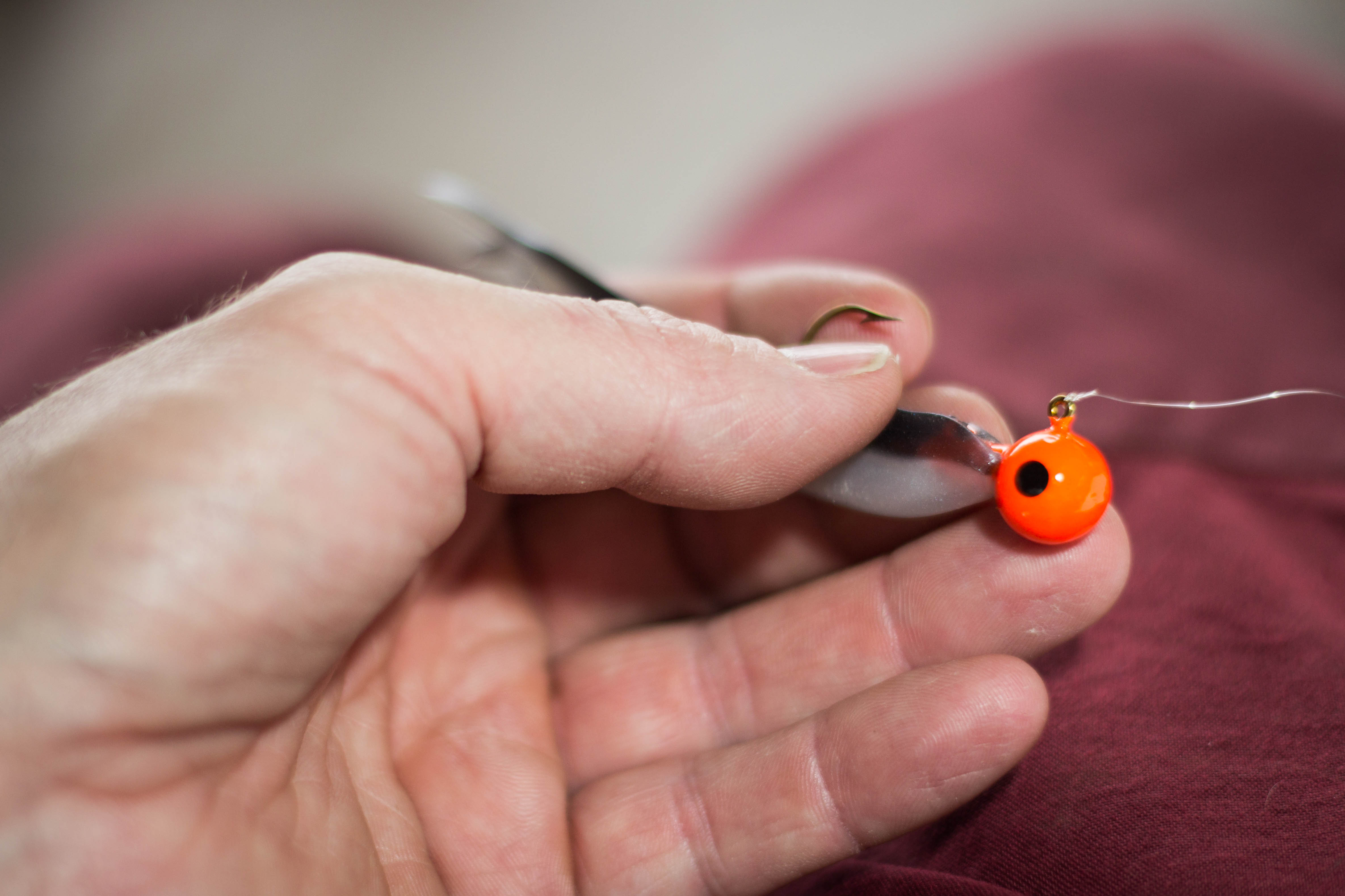 Fisherman holding a jig and soft plastic combo