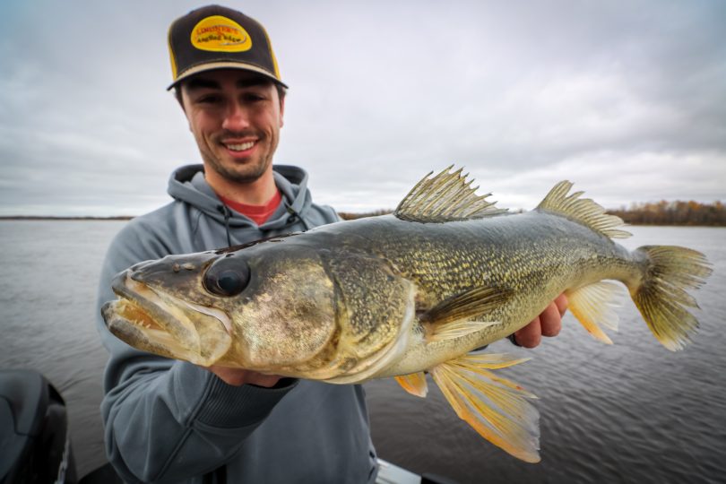 Steady temperatures or not, walleyes are continually on the move during this period as they slide up and downstream depending on a variety of variables like flow, water temperature, and spawn timing.