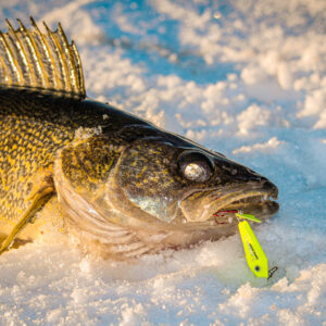 New Super Glo Ice Lures
