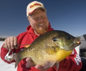 Ice fisherman holding up a bluegill.