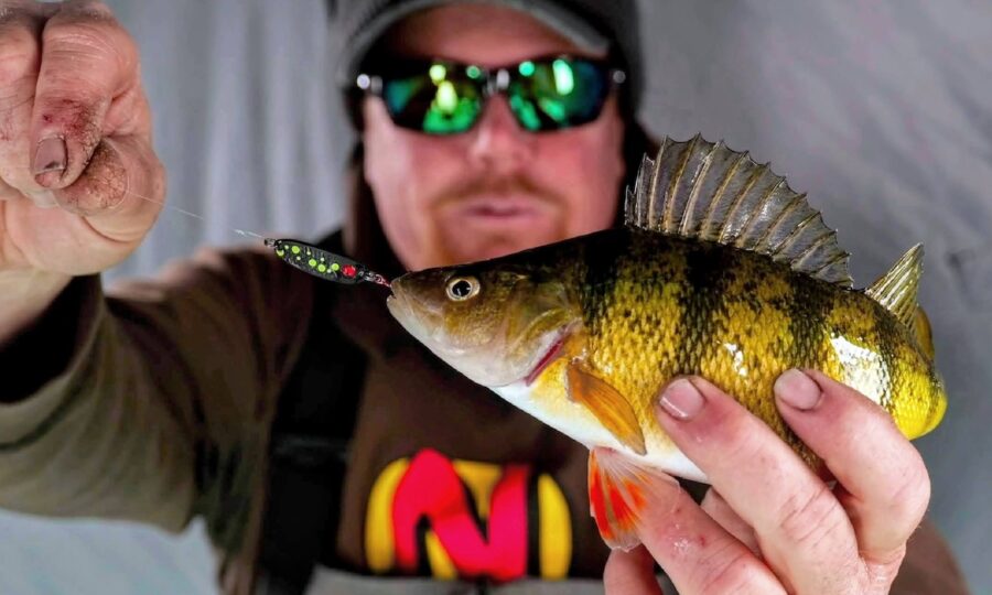 Finesse Spoon Perch Fishing
