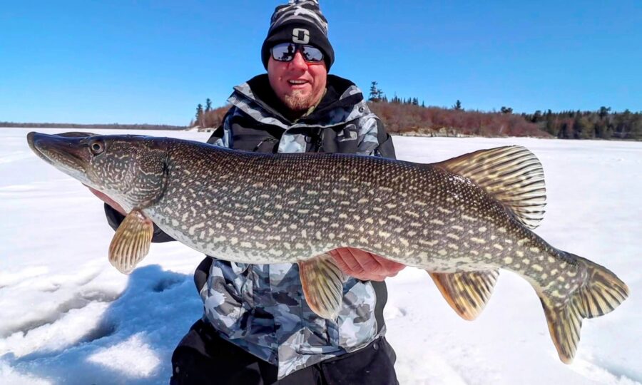 Ice Fishing Tungsten Tips