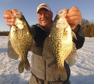 An ice fisherman holding up two crappies he caught.