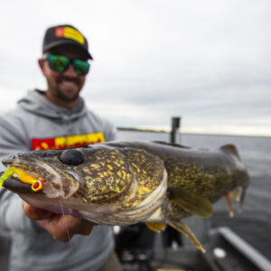 Eye Candy Walleye Fishing Leeches