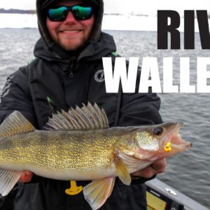 Jigging Winter River Walleyes