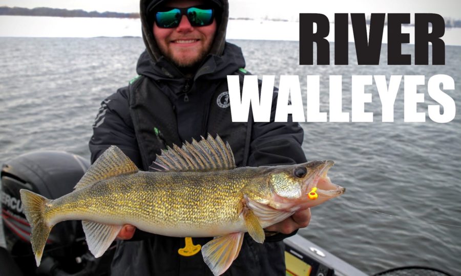 Jigging Winter River Walleyes