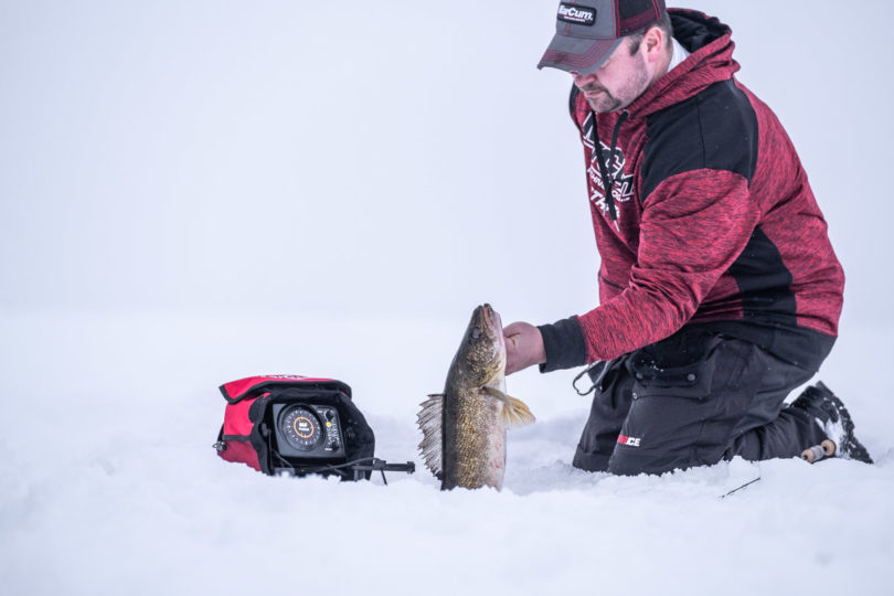 Ice fishing walleye