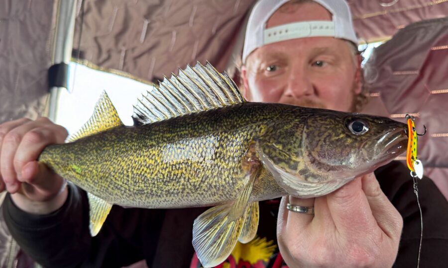 St Louis River Ice Walleyes
