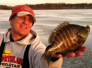 Mike Frisch with big bluegill he caught ice fishing using a heavy jig.