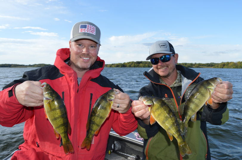 Two fisherman holding up yellow perch they caught